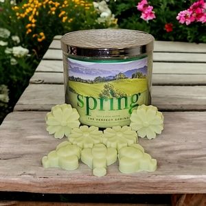 The Perfect Spring | Wax Melts | Bath and Body Works